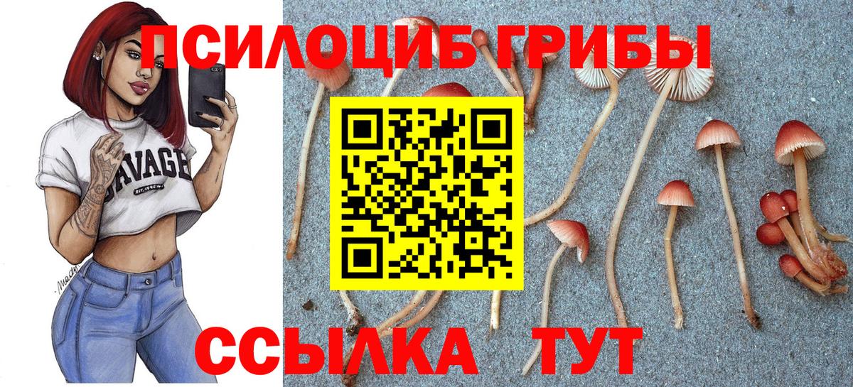 дарнет шоп  Вход с VPN  Ливны  Псилоцибиновые грибы ЛСД 